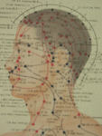 Acupuncture_Head.gif